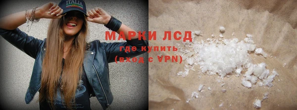 стафф Новозыбков